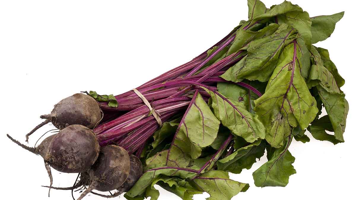Can You Eat Beetroot Raw Cake Baking